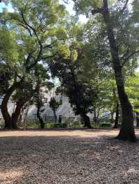 【東京都上野🇯🇵 上野恩賜公園】美術館や動物園に行くもよし‼️カフェでまったりするもよし☺️
