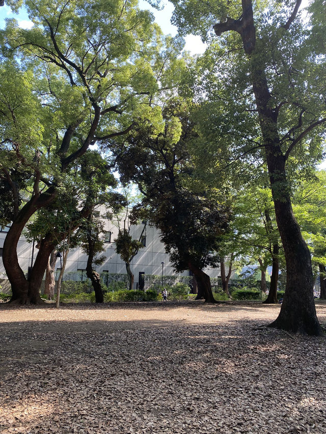 【東京都上野🇯🇵 上野恩賜公園】美術館や動物園に行くもよし‼️カフェでまったりするもよし☺️