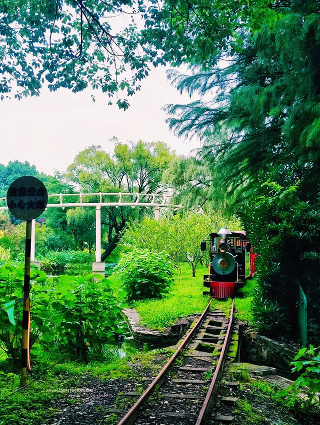 上海共青森林公園🇨🇳 上海共青森林公園🇨🇳