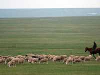 Hulunbuir Grasslands