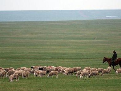 Hulunbuir Grasslands