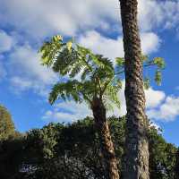 Auckland Botanic Gardens