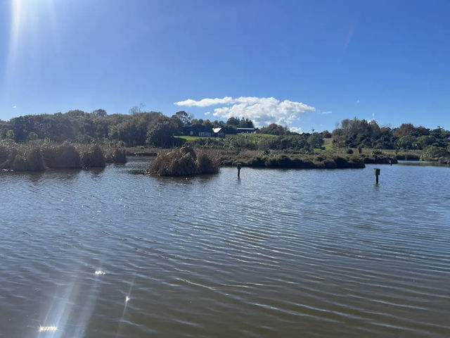 Ayrlies Garden and Wetlands