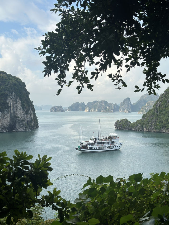 🇻🇳Ha Long Bay: Where Nature Paints in Silence