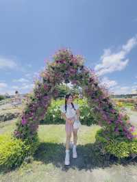 Taipei 5 Days Itinerary