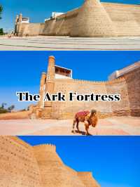 The Ark Fortress 