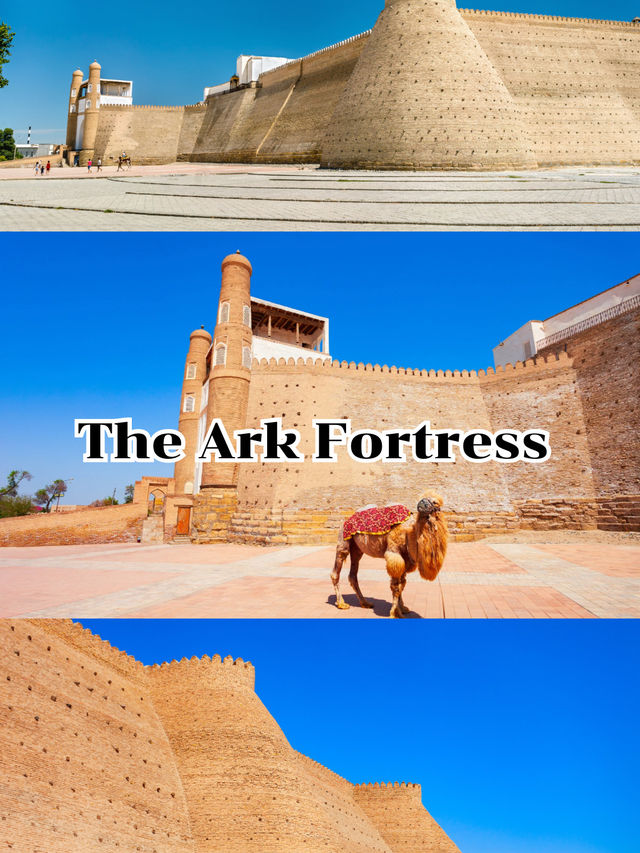 The Ark Fortress 