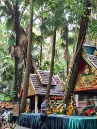 คำชะโนด : วังนาคินทร์ "ความเชื่อ ศรัทธา ธรรมชาติ"