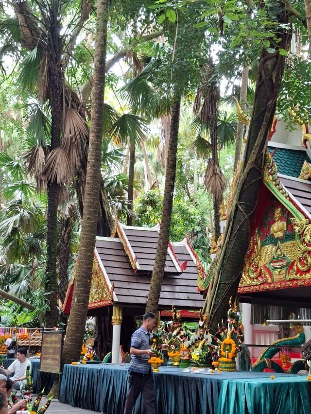 คำชะโนด : วังนาคินทร์ "ความเชื่อ ศรัทธา ธรรมชาติ"