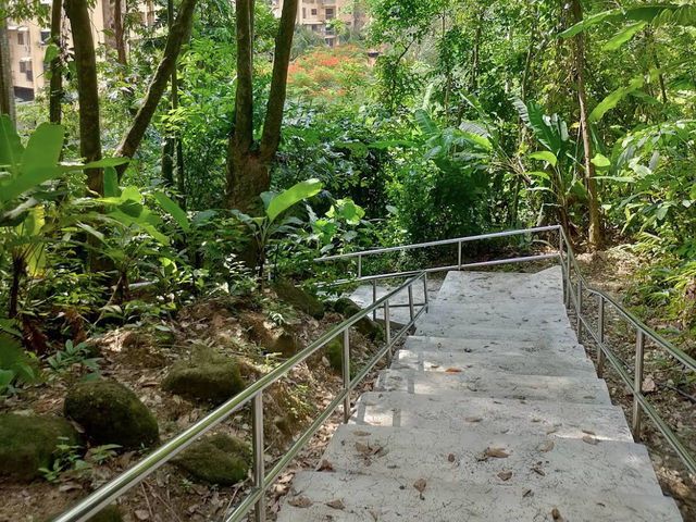 🌿 Nature Break at Taman Awam Metropolitan Relau