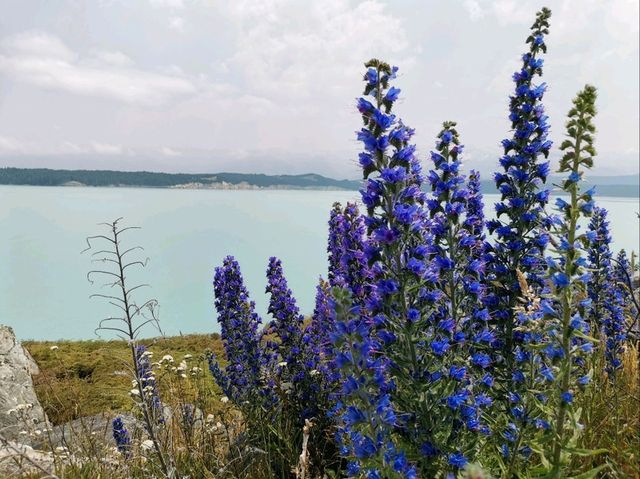 🇳🇿 New Zealand Road Trip - เล่าเรื่องด้วยภาพ#13