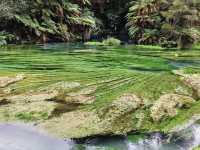 Pure Blue: New Zealand's Blue Spring
