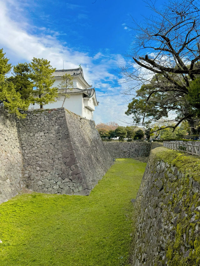 Nagoya Castle 🇯🇵 ปราสาทนาโกย่า