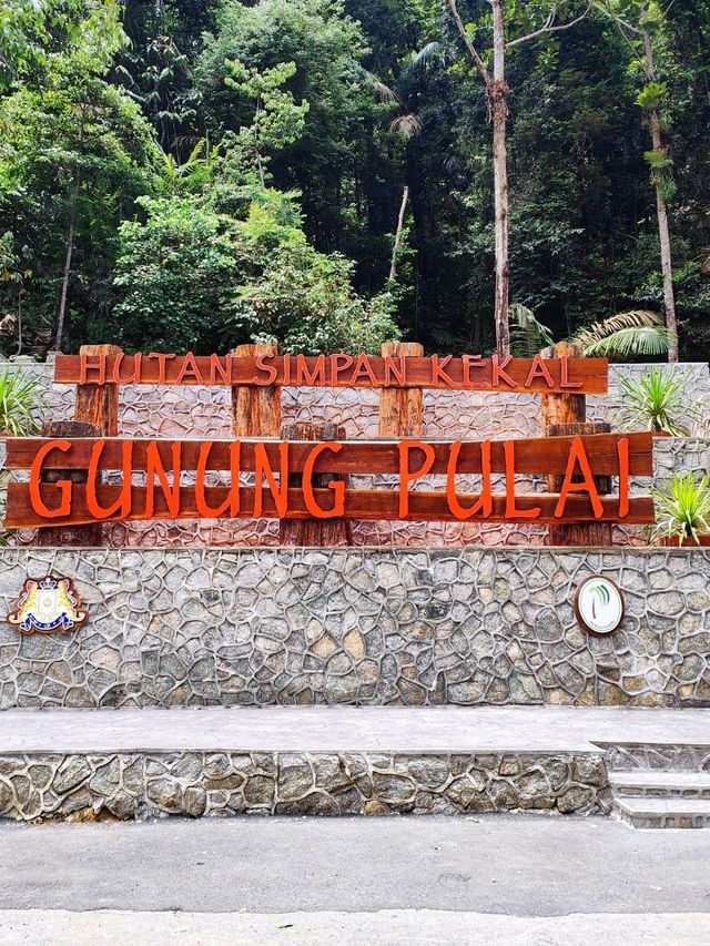 Discover Mount Pulai Escape⛰️Cloudy Pulai Trails