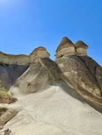 반나절로 다니기 좋은 투어