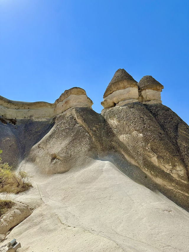 반나절로 다니기 좋은 투어