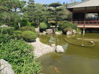 모나코의 일본 정원: 고요함의 주머니 속에서의 솔로 여행