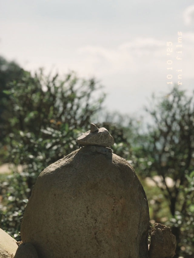 SAPA,VIETNAM 2024 SAPA,VIETNAM 2024