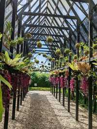 Orchid Forest Cikole: A Blend of Orchids and Cool Pine Woods