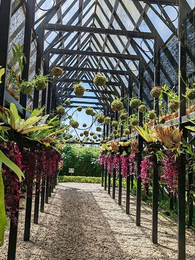 Orchid Forest Cikole: A Blend of Orchids and Cool Pine Woods Orchid Forest Cikole: A Blend of Orchids and Cool Pine Woods