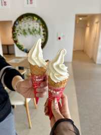 🍦Soft Serve Break with a View