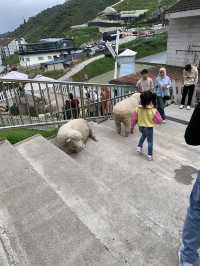 Cameron Highlands Short But Memorable Trip ✨