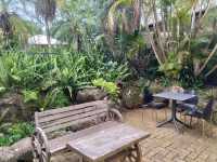 🥪Breakfast In The Garden🥪