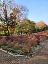 ⭐서울 올림픽공원 하루 코스 – 거대한 엄지상 구경하고, 가을 댑싸리 걷고, 청와옥에서 마무리!