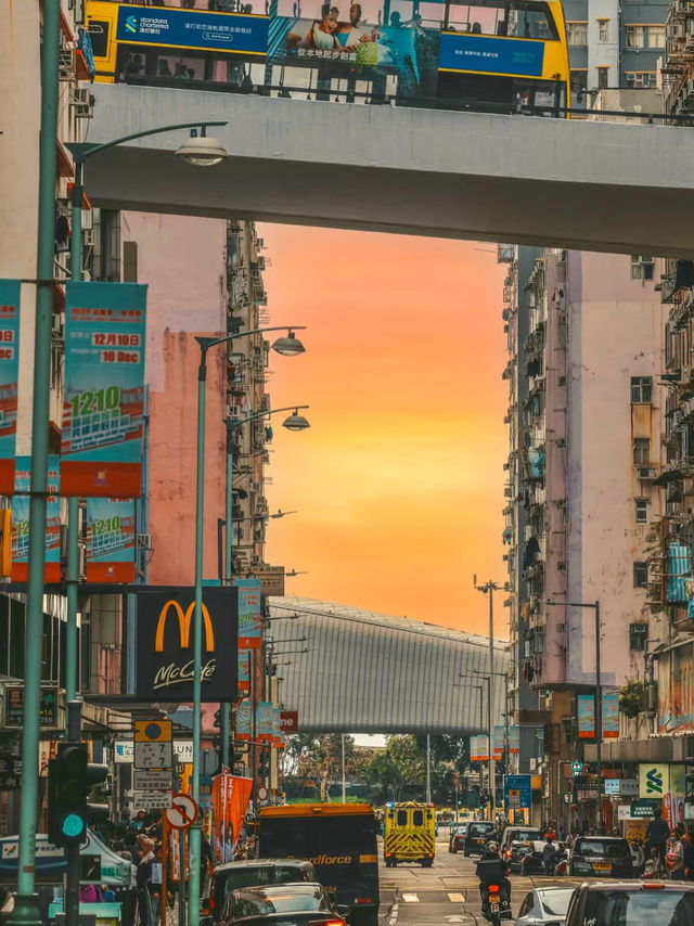 Hong Kong Citywalk🚶♂️📸: Epic Photo Spots & Ultimate Vibes 🚶♂️✨ Hong Kong Citywalk🚶♂️📸: Epic Photo Spots & Ultimate Vibes 🚶♂️✨