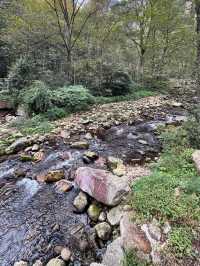 中國湖南張家界一日遊 武陵源 張家界 天子山 金鞭溪
