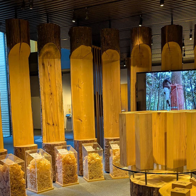 Guide to Takenaka Carpentry Tools Museum 