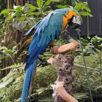 Queen Elizabeth Park