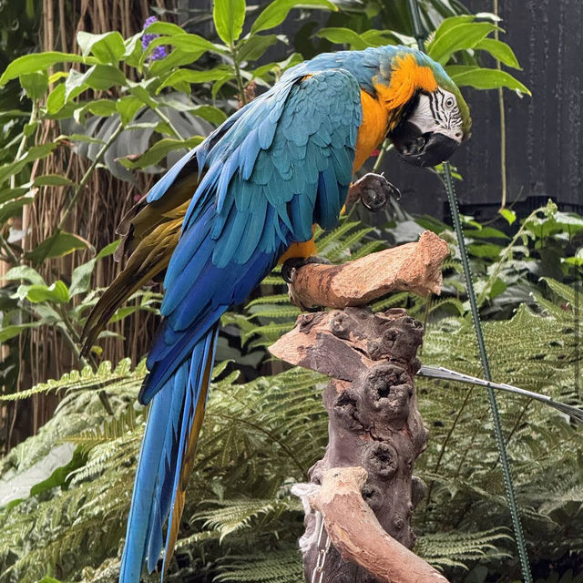 Queen Elizabeth Park Queen Elizabeth Park