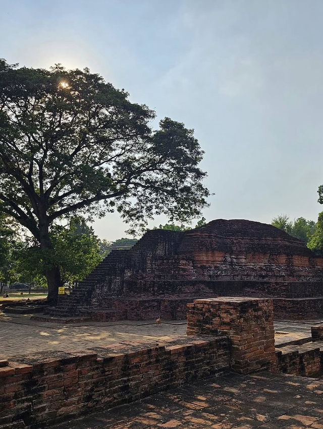 āļāļĢāļ°āļĢāļēāļāļ§āļąāļāļāļąāļāļāļāđ āļ.āļāļīāļĐāļāļļāđāļĨāļ āļāļĢāļ°āļĢāļēāļāļ§āļąāļāļāļąāļāļāļāđ āļ.āļāļīāļĐāļāļļāđāļĨāļ