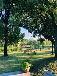 도심의 소음이 완전히 사라지는 순간, 상하이 아만양윤 호캉스