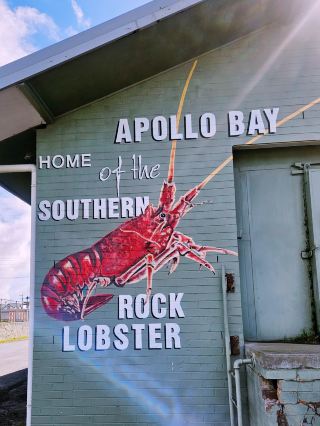 🍟 Apollo Bay’s Legendary Fish & Chips Spot! 🐟