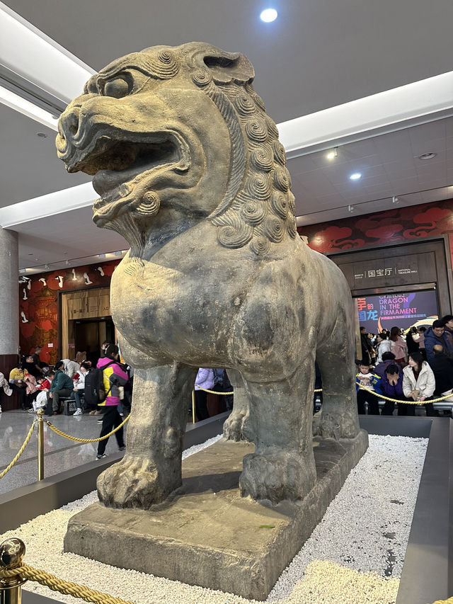 History Unearthed✨