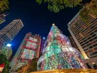 Celestial Contrast: The Luminous Geometry of Christmas