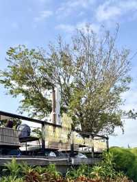 珠海的超浪漫海景餐廳💕（Chill House萃嵐）踏入了愛麗絲夢幻仙境