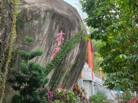바이루 로드에서 식물원까지, 산과 불교 사찰을 통해 영적인 정화를 경험하는 여정 – 바이루둥 사원 | 후시 선사