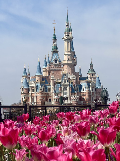 上海　ディズニーランド　リトグラフ 上海ディズニーリゾートで魔法のような一日 | Trip.com 上海