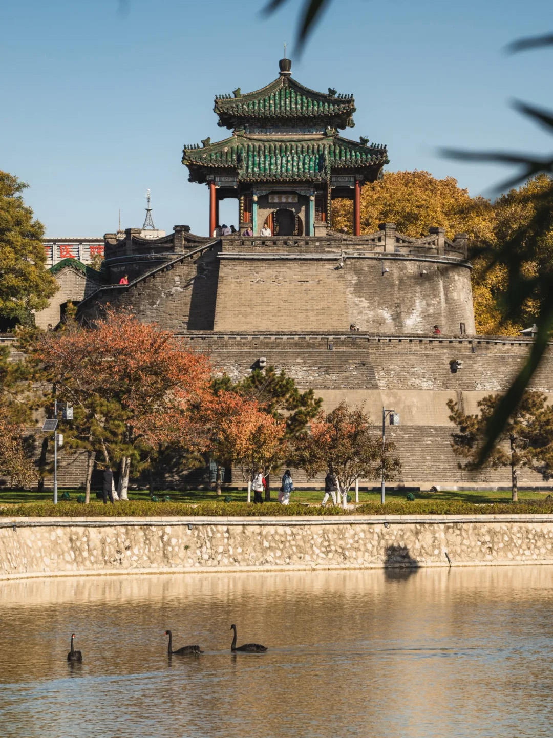 回到戰爭年代：深入了解崇台國家公園。