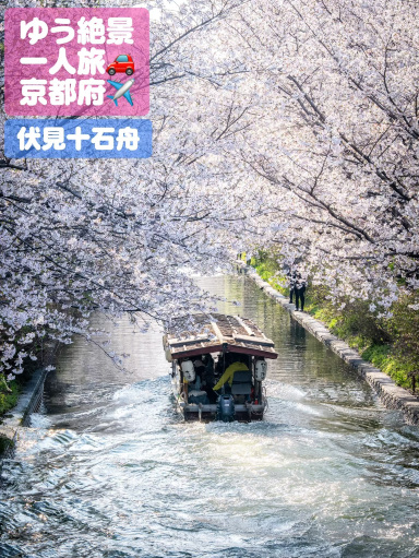 ここは行かなきゃ損！満開！花筏も楽しめるよ🌸京都 伏見十石舟 時刻表