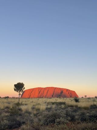 オーストラリア ノーザンテリトリー・ウルル（Uluru）のお手頃な宿泊施設のおすすめ。