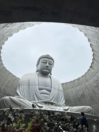 【삿포로 근교 경이로운 절경】 마코마나이 타키노 영원 인증샷 공략.