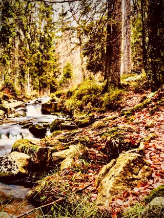 Taiwan Taitung Chihpen Forest Mossy Hot Spring Park Caféeasytravelpost #Chihpen #Taitung #ForestHot