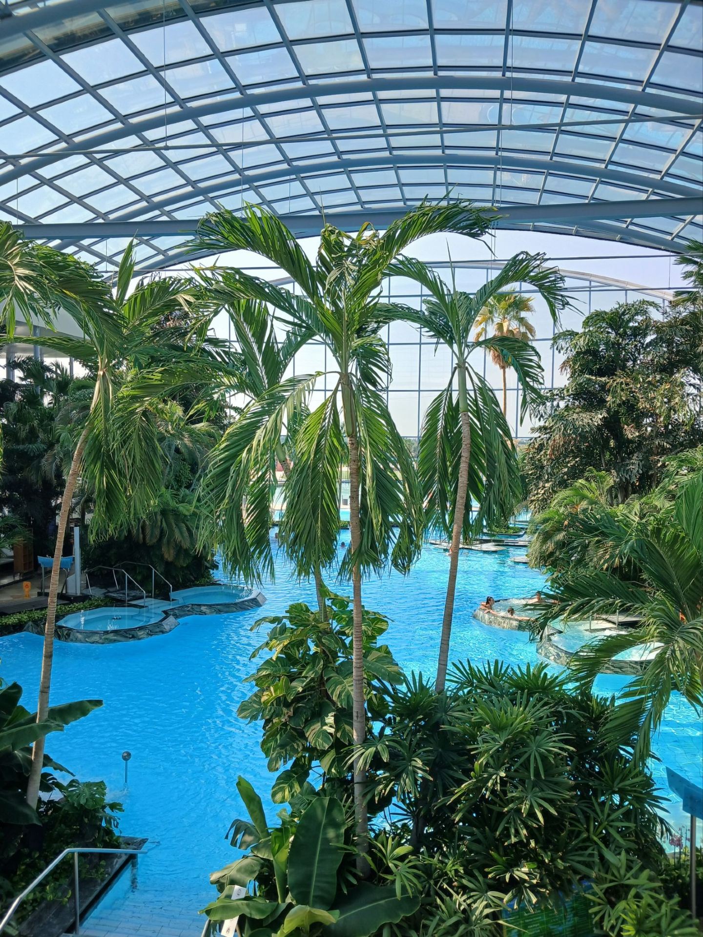 Therme Bucharest: Europe’s Ultimate Tropical Thermal Oasis