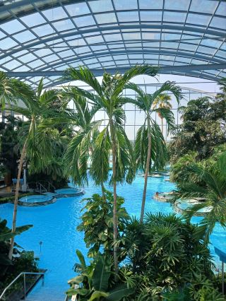 Therme Bucharest: Europe’s Ultimate Tropical Thermal Oasis