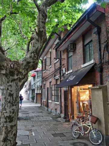 Shanghai punya banyak tempat wisata terkenal, tapi momen favorit saya justru ada di tempat-tempat yang nggak masuk dalam rencana awal. Sudut-sudut kota yang lebih tenang ini menunjukkan sisi lain Shanghai yang hampir saja saya lewatkan.

Penemuan pertama saya adalah Tianshan Tea City. Saya menghabiskan pagi yang santai dengan mampir ke toko-toko teh dan melihat warga lokal memilih daun teh favorit mereka. Suasananya jauh banget dari keramaian The Bund.

Terus saya jalan-jalan ke M50 Creative Park, bekas area industri yang sekarang penuh dengan galeri, studio, dan seni jalanan. Saya suka banget sama suasana kreatifnya yang unik dan apa adanya, apalagi kalau dibandingin sama gedung-gedung pencakar langit yang mewah di sekitar Lujiazui.

Favorit saya adalah Kota Air Zhujiajiao. Lokasinya memang di luar pusat kota Shanghai, tapi jembatan batu tua, kanal-kanal sempit, dan rumah tradisionalnya bikin perjalanan ke sana sangat berharga. Saya sempat naik perahu, menyusuri gang-gang kecil, dan makan siang sederhana di pinggir sungai.

Kalau punya waktu luang, saya juga menyarankan buat eksplor area Bekas Konsesi Prancis dan Tianzifang, lebih baik pagi-pagi sekali saat suasananya masih tenang.

Shanghai benar-benar mengejutkan saya dengan kepribadiannya yang beragam. Cara terbaik buat menemukannya? Biarkan itinerary Anda sedikit fleksibel dan ikuti saja ke mana kaki melangkah.
