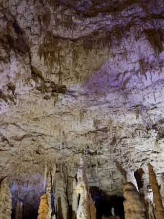 Gyokusendo Cave 玉泉洞

沖繩的地下世界，由自然